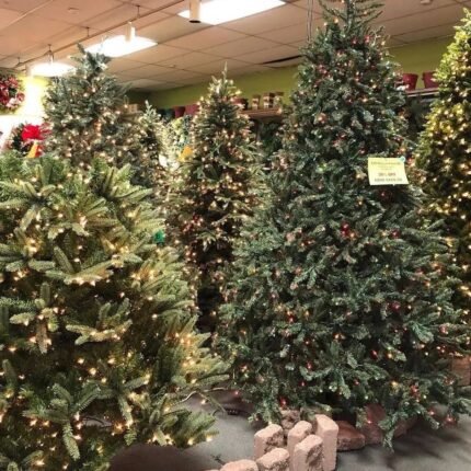 Christmas Trees Pallets